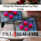 Pilule De Rhinocéros La Plus Forte 14